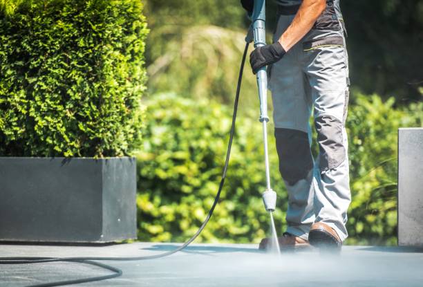 Best Roof Washing  in Forney, TX